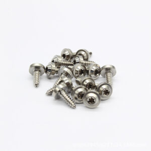 titanium self tapping screw